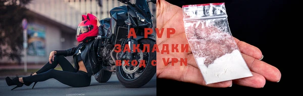 ГАЛЛЮЦИНОГЕННЫЕ ГРИБЫ Лихославль