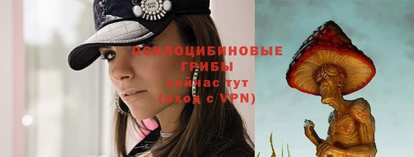 ГАЛЛЮЦИНОГЕННЫЕ ГРИБЫ Лихославль