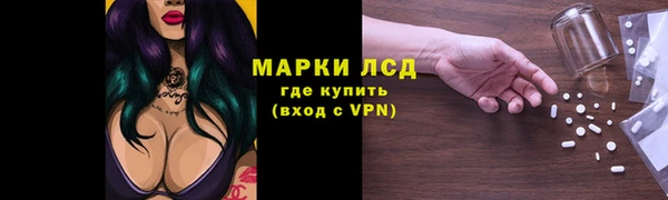 ГАЛЛЮЦИНОГЕННЫЕ ГРИБЫ Лихославль