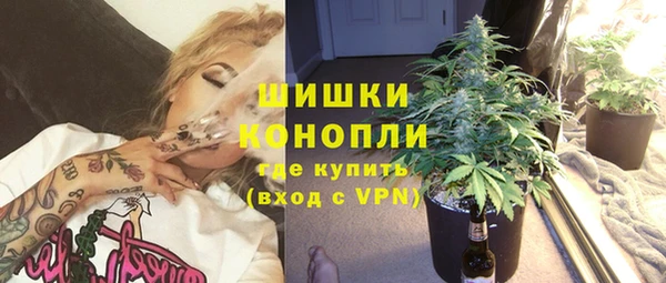 ГАЛЛЮЦИНОГЕННЫЕ ГРИБЫ Лихославль