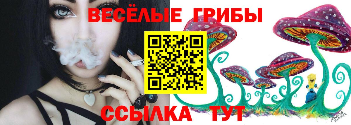 Псилоцибиновые грибы Psilocybine cubensis Новоуральск